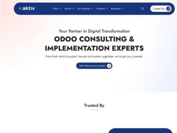 aktivsoftware.com