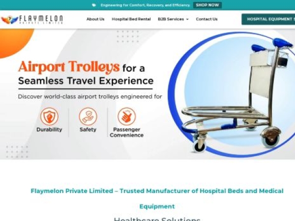flaymelon.in