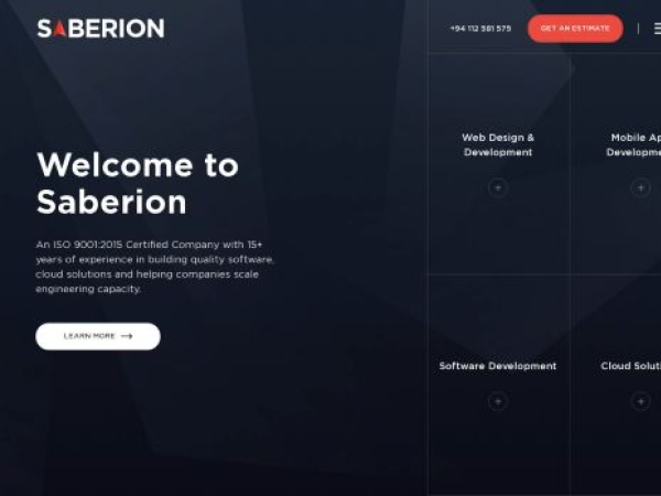 saberion.com